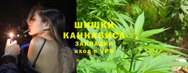 ГАЛЛЮЦИНОГЕННЫЕ ГРИБЫ Алексеевка