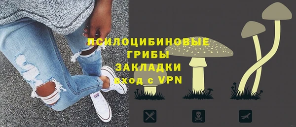 ГАЛЛЮЦИНОГЕННЫЕ ГРИБЫ Алексеевка