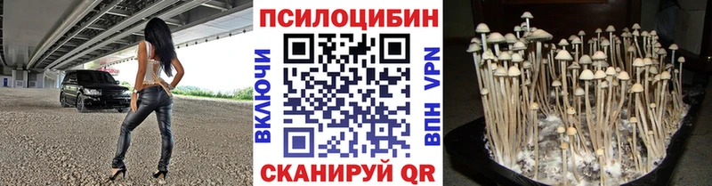 Галлюциногенные грибы прущие грибы  наркошоп  Дно 