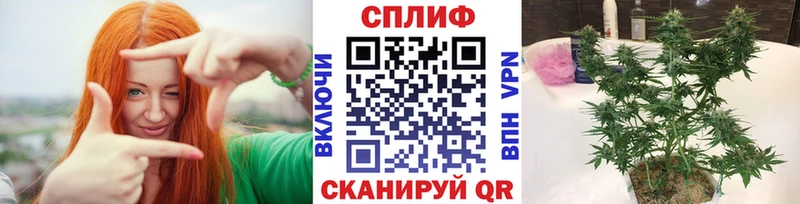 KRAKEN как зайти  сколько стоит  Дно  Бошки марихуана AK-47 